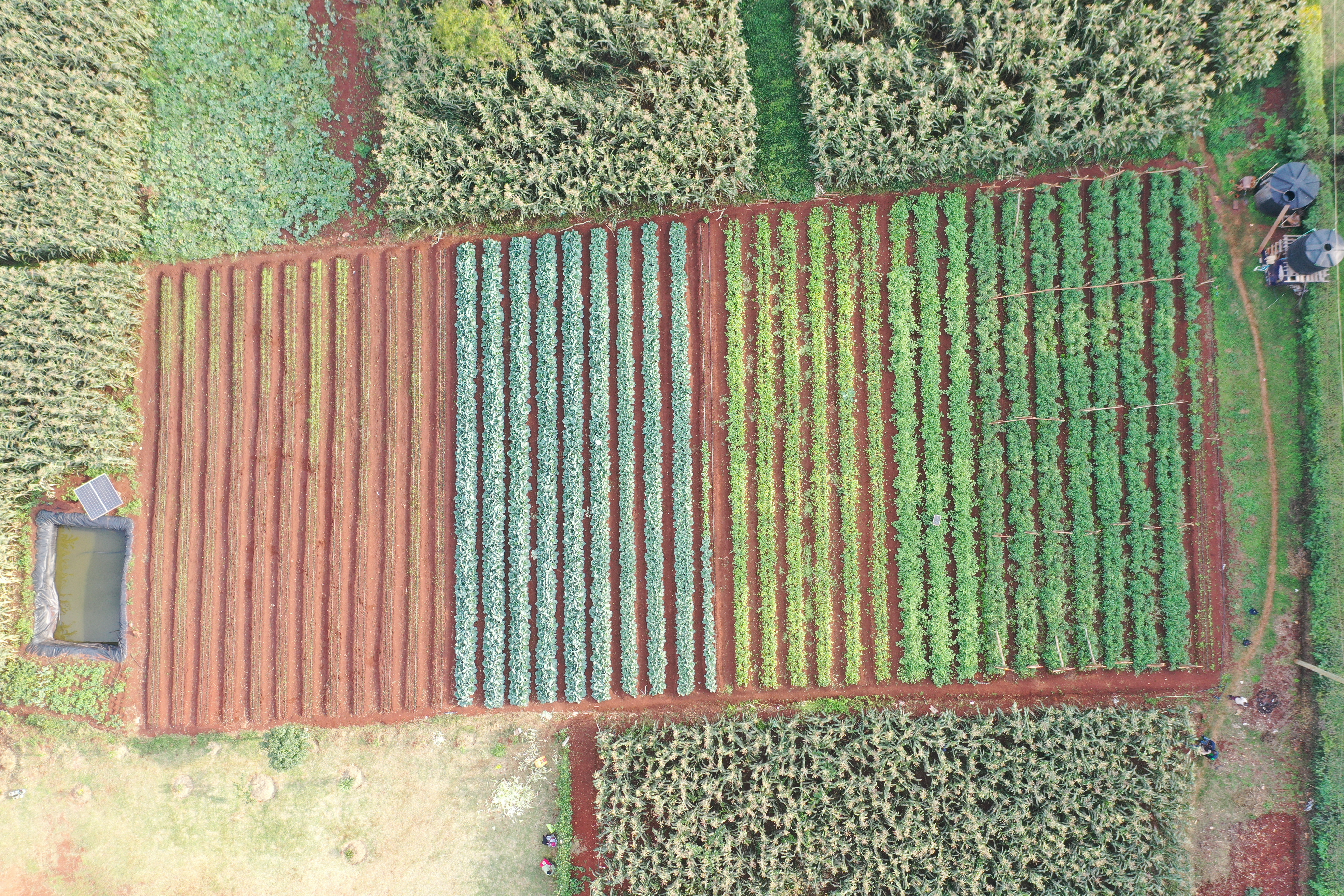 Kenarava team collaboration and stakeholder engagement in the field