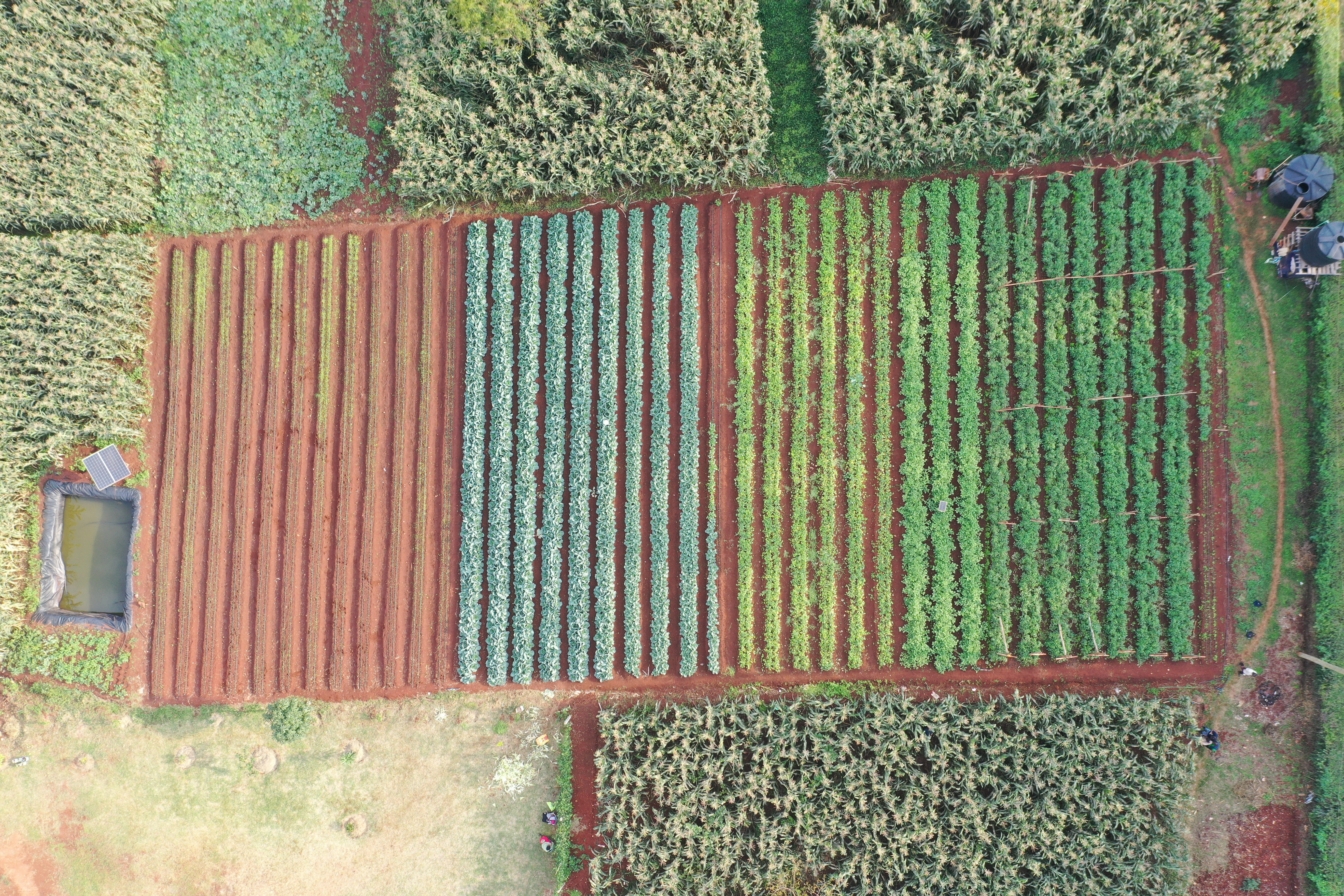 Innovation and Development