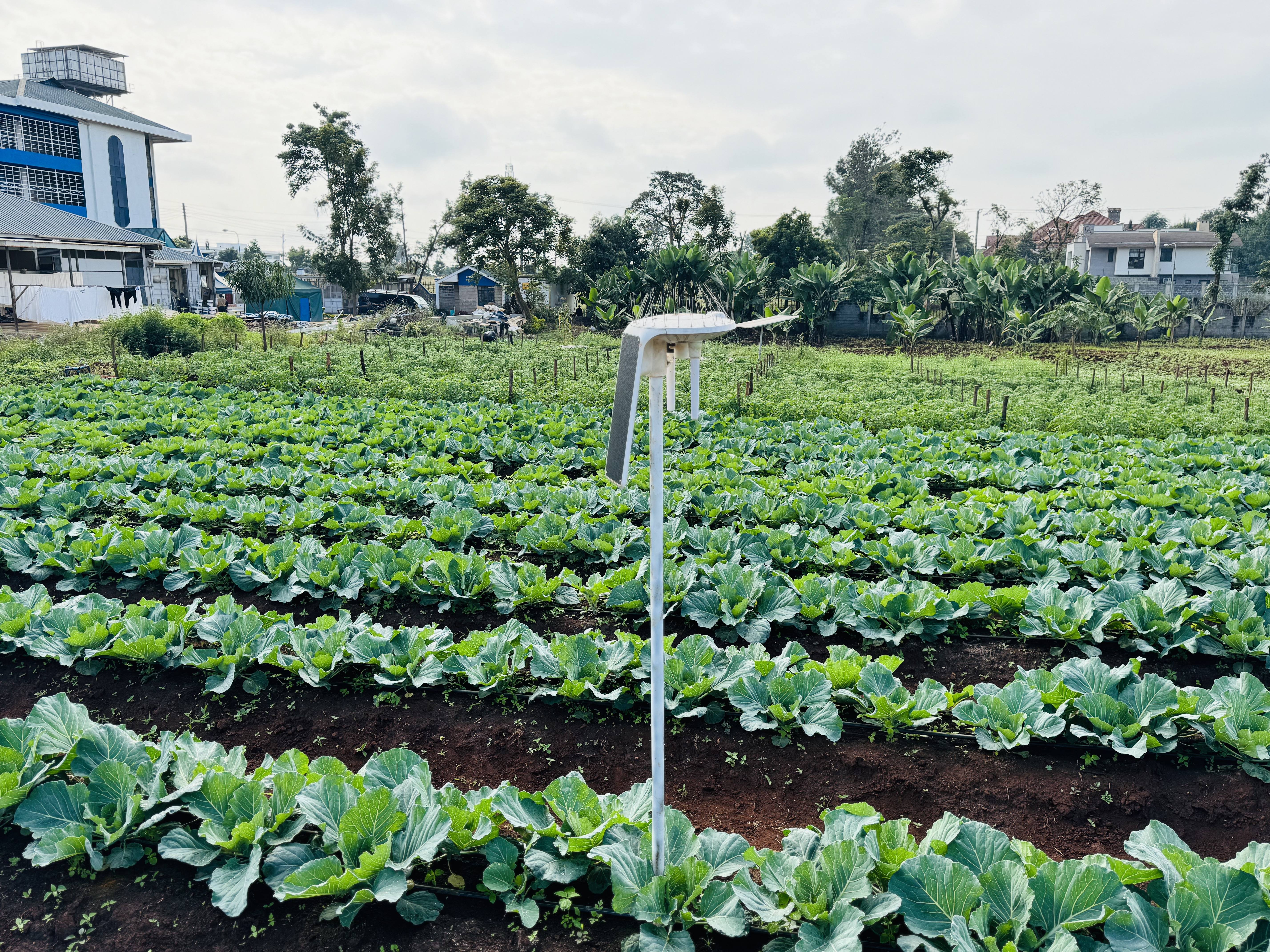 Kenarava Agricultural Innovation